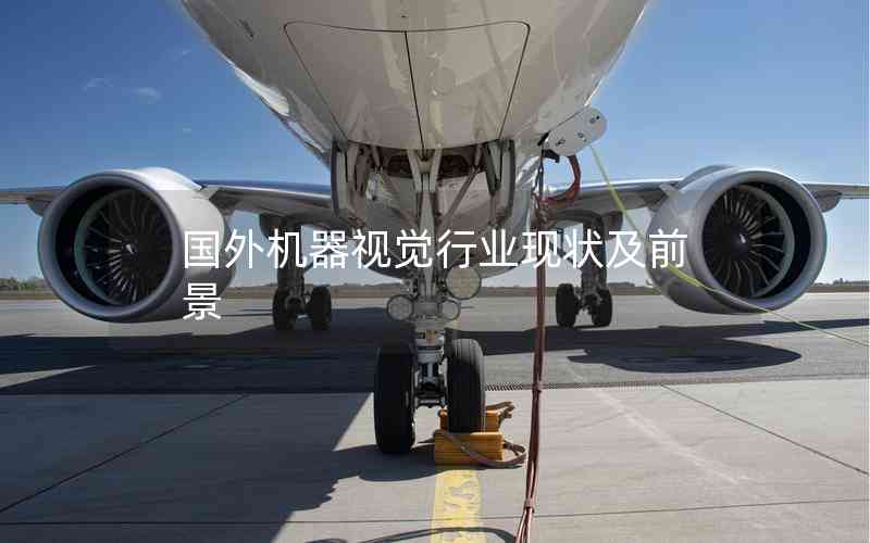 國(guó)外機(jī)器視覺行業(yè)現(xiàn)狀及前景