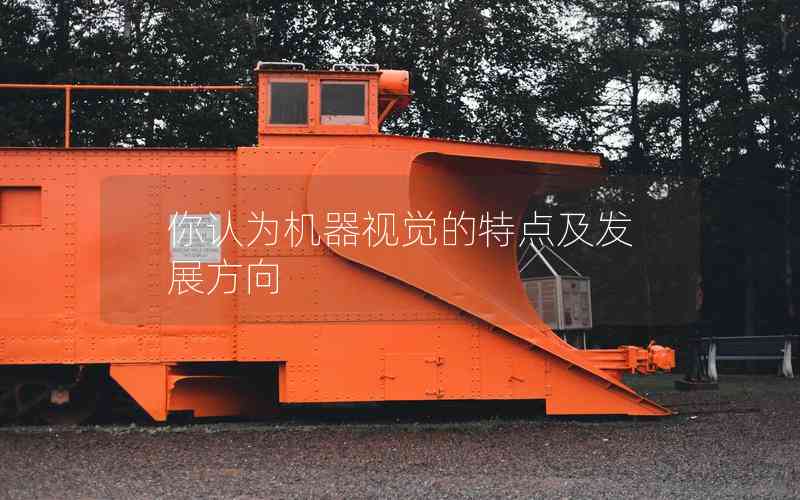 你認(rèn)為機(jī)器視覺的特點(diǎn)及發(fā)展方向