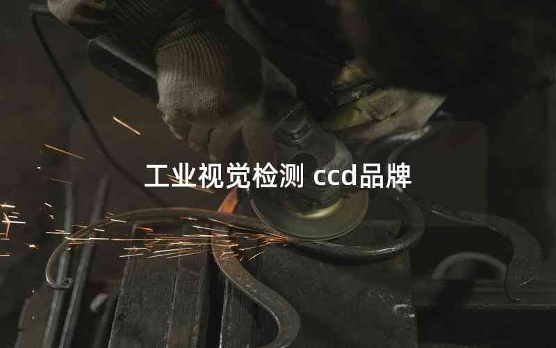 工業(yè)視覺檢測(cè) ccd品牌