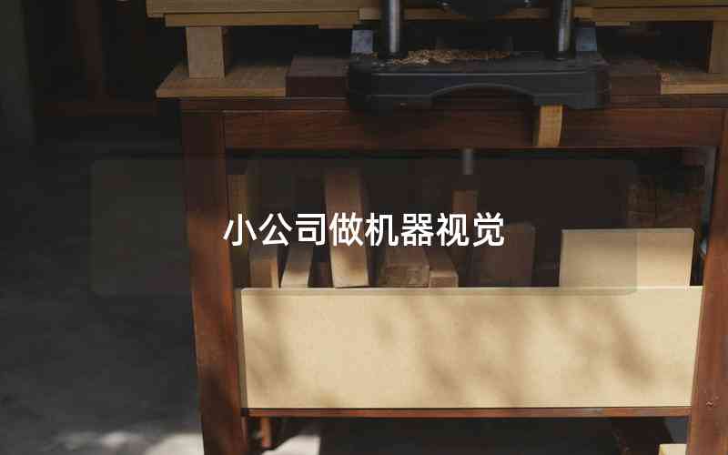 小公司做機器視覺