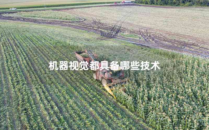 機器視覺都具備哪些技術(shù)